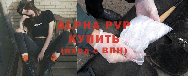 apvp Богородицк
