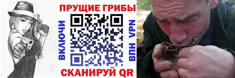 маркетплейс наркотические препараты  Котово  Галлюциногенные грибы Magic Shrooms 